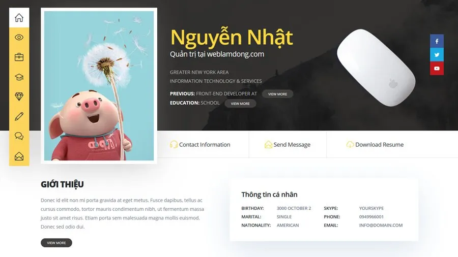 Mẫu website CV online